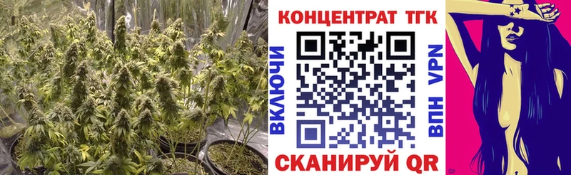 Дистиллят ТГК Wax  Трубчевск 