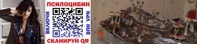 Галлюциногенные грибы Magic Shrooms  Трубчевск 